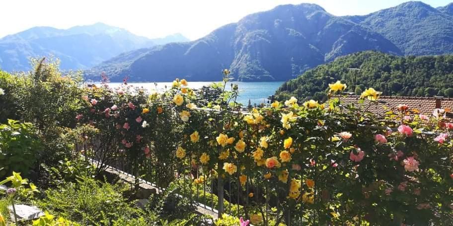 Magic Garden With Jacuzzi-Pool And Luxury Lake Como View Lenno Ngoại thất bức ảnh