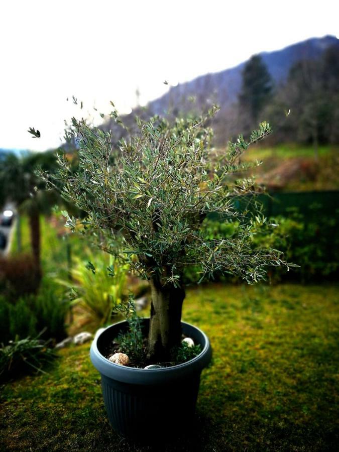 Magic Garden With Jacuzzi-Pool And Luxury Lake Como View Lenno Ngoại thất bức ảnh